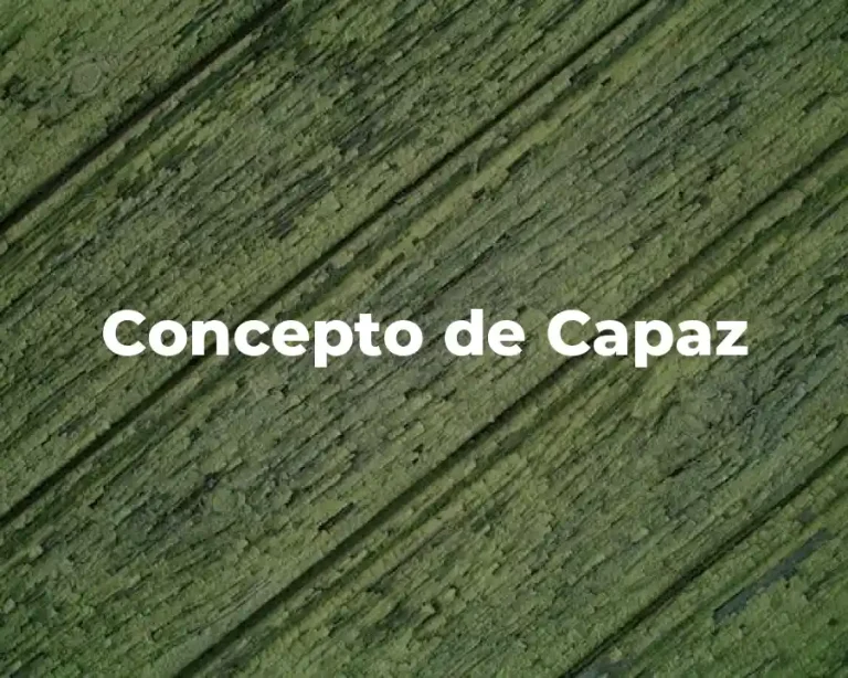 Concepto de Capaz