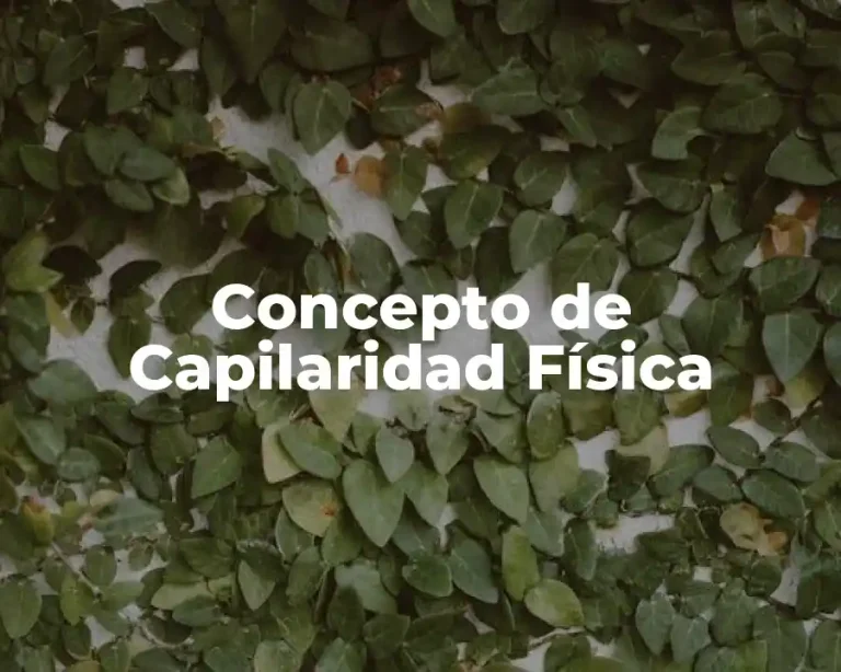Concepto de Capilaridad Física
