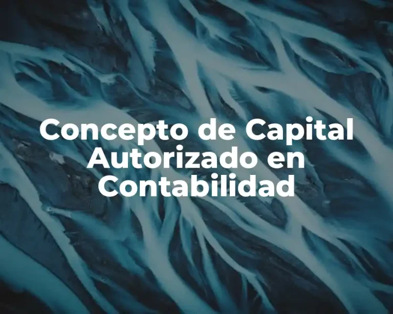 Concepto de Capital Autorizado en Contabilidad