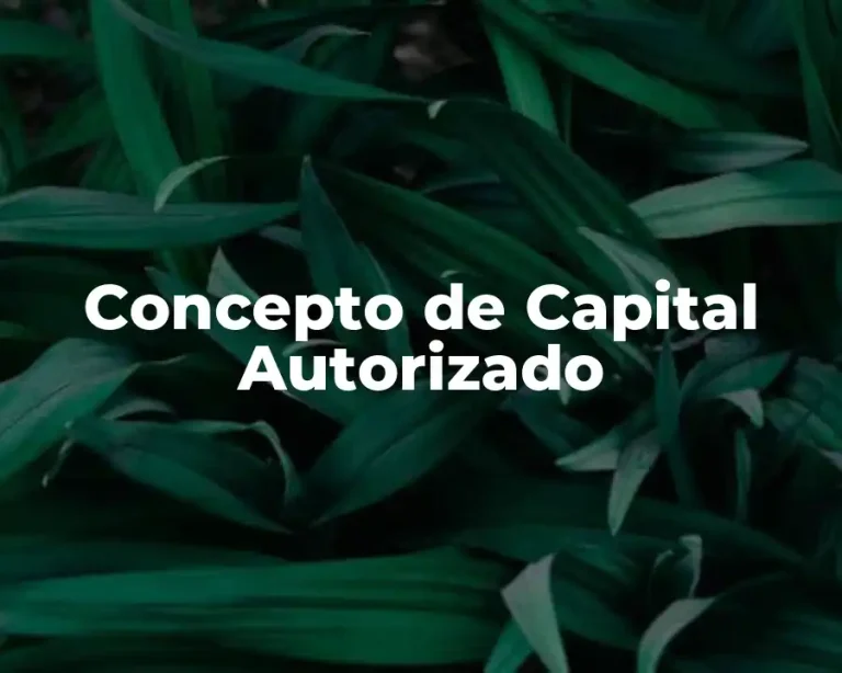 Concepto de Capital Autorizado