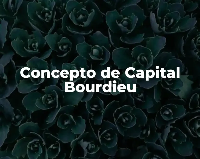 Concepto de Capital Bourdieu