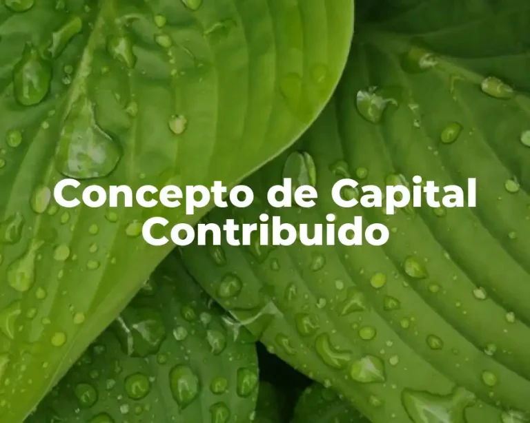 Concepto de Capital Contribuido