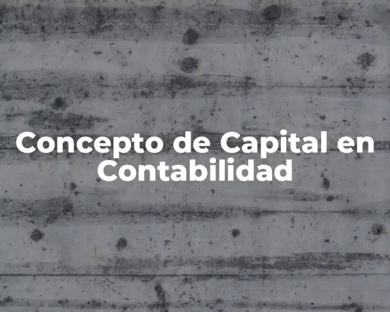 Concepto de Capital en Contabilidad