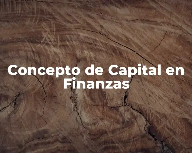 Concepto de Capital en Finanzas
