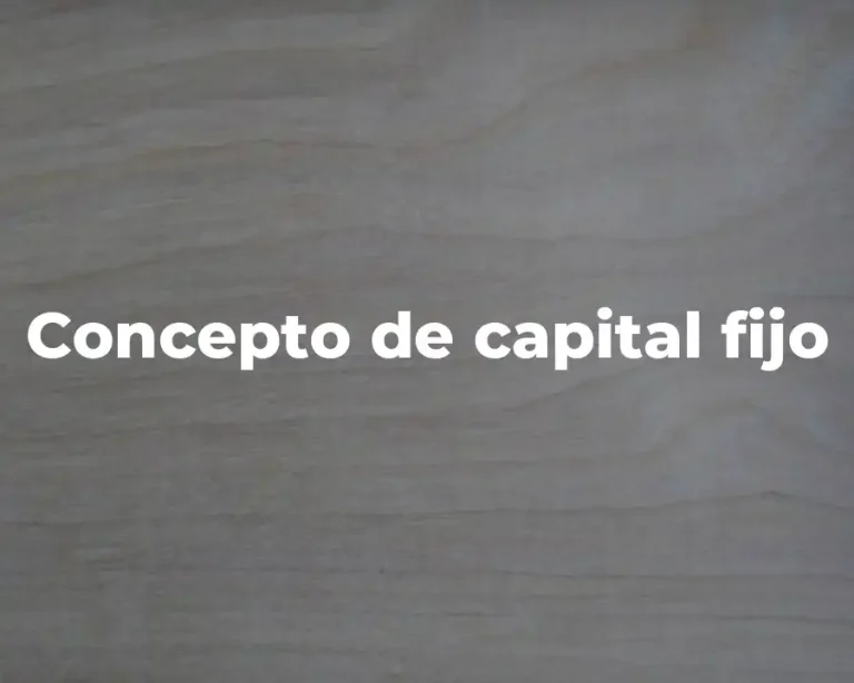 Concepto de capital fijo