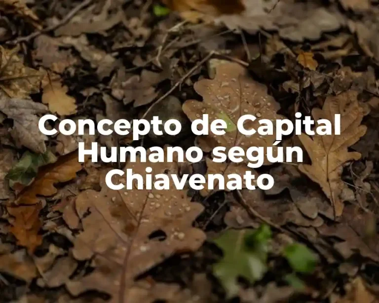 Concepto de Capital Humano según Chiavenato