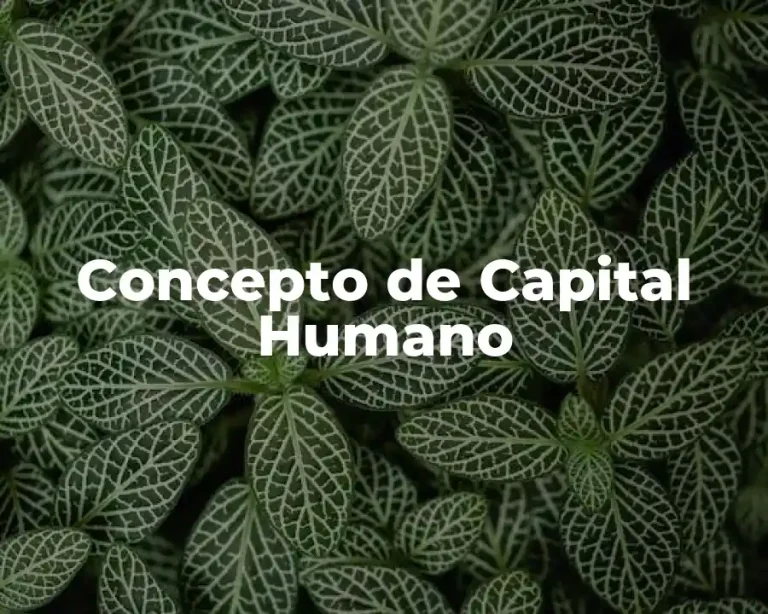 Concepto de Capital Humano