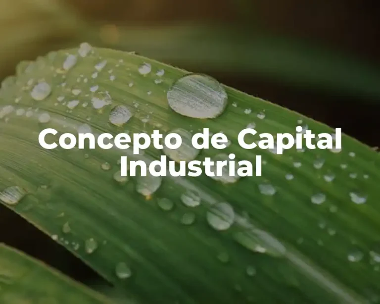 Concepto de Capital Industrial