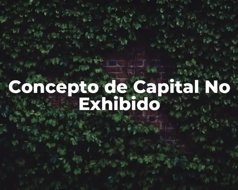 Concepto de Capital No Exhibido