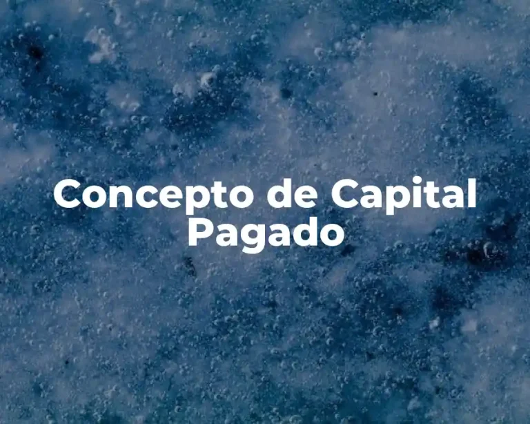 Concepto de Capital Pagado