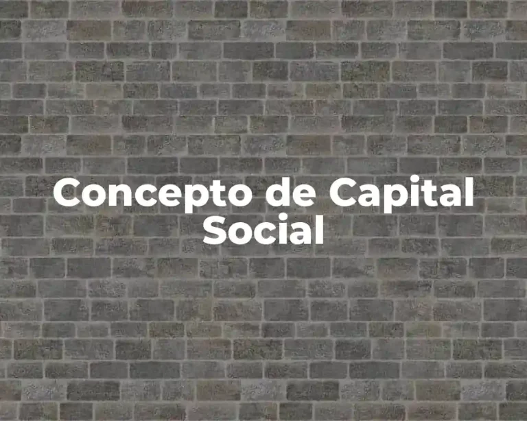 Concepto de Capital Social