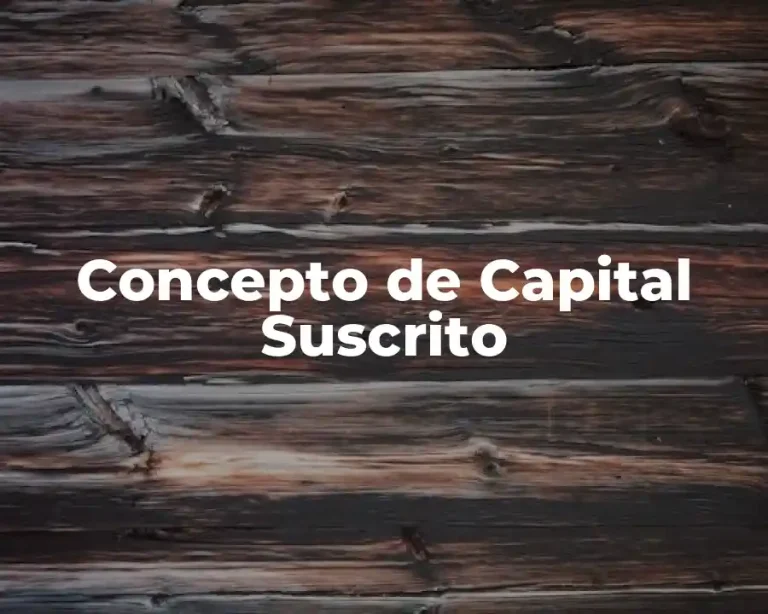 Concepto de Capital Suscrito