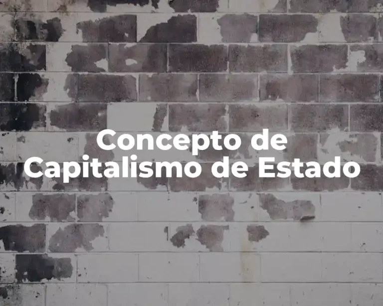 Concepto de Capitalismo de Estado