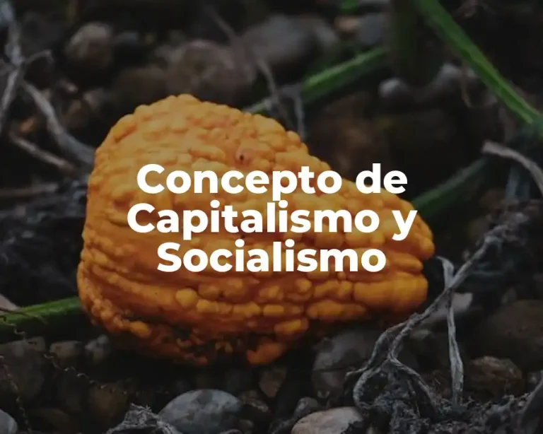 Concepto de Capitalismo y Socialismo