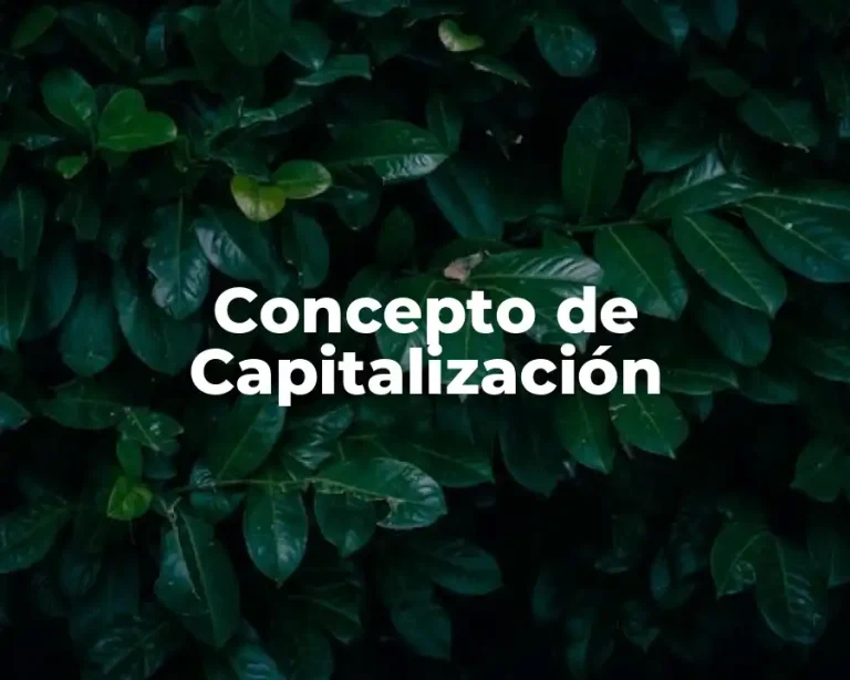 Concepto de Capitalización