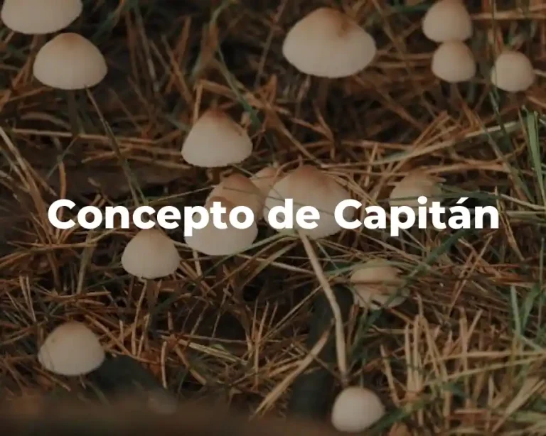 Concepto de Capitán