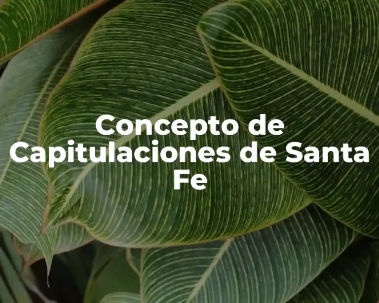 Concepto de Capitulaciones de Santa Fe