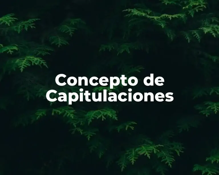 Concepto de Capitulaciones