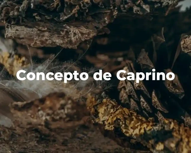 Concepto de Caprino