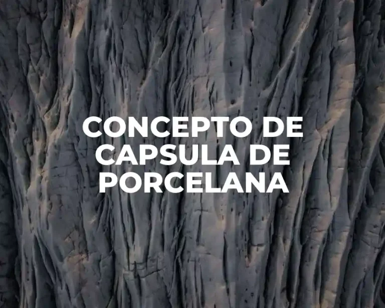 CONCEPTO DE CAPSULA DE PORCELANA