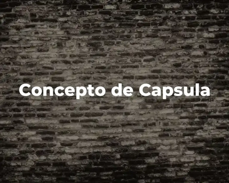 Concepto de Capsula