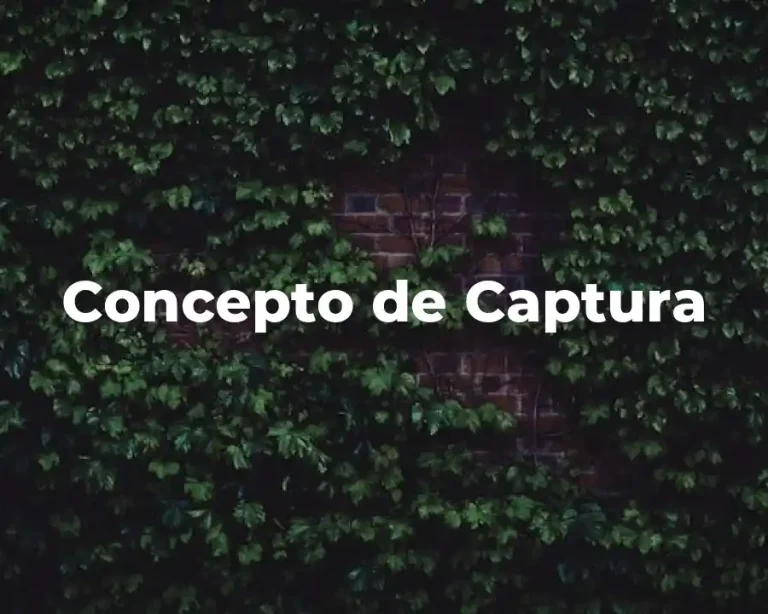 Concepto de Captura