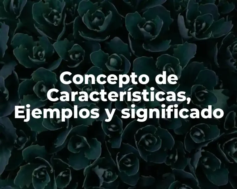 Concepto de Características, Ejemplos y significado