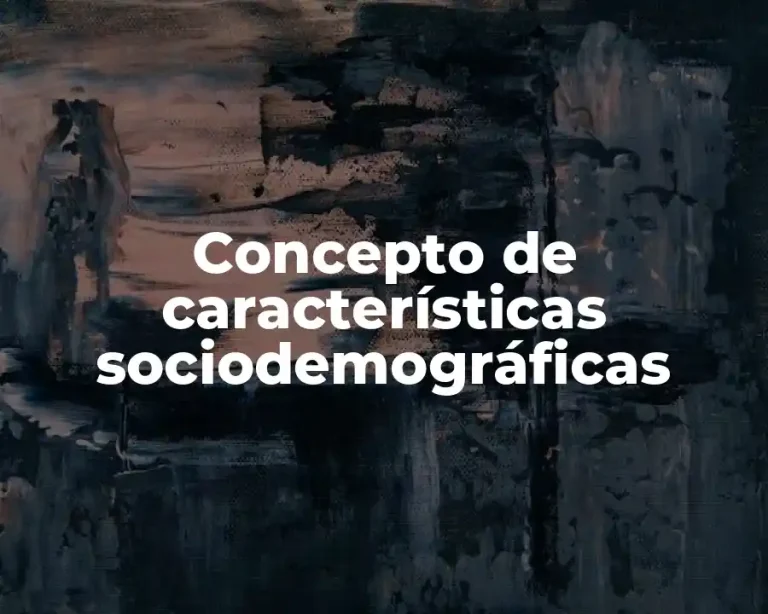 Concepto de características sociodemográficas