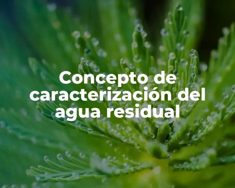 Concepto de caracterización del agua residual