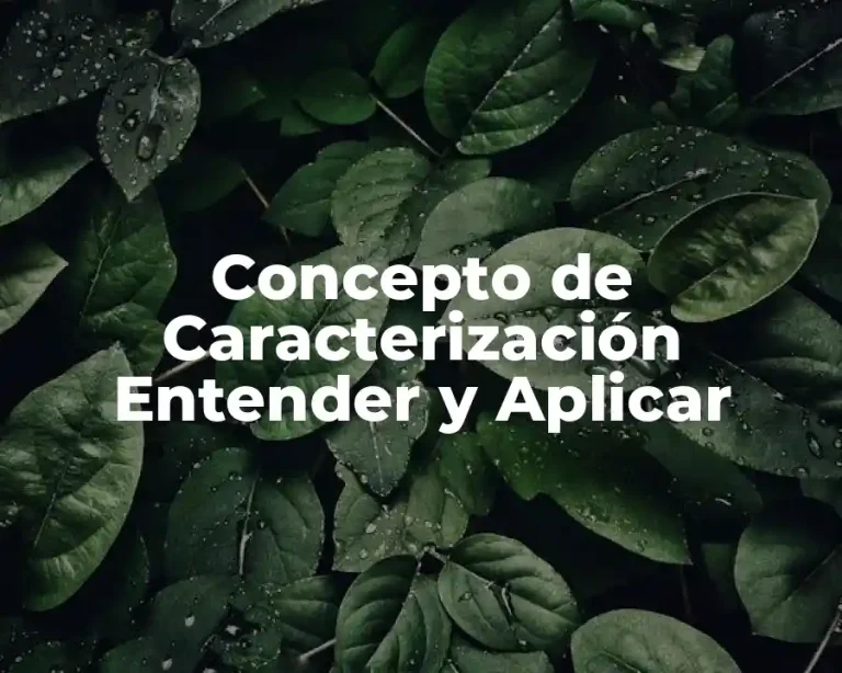 Concepto de Caracterización Entender y Aplicar