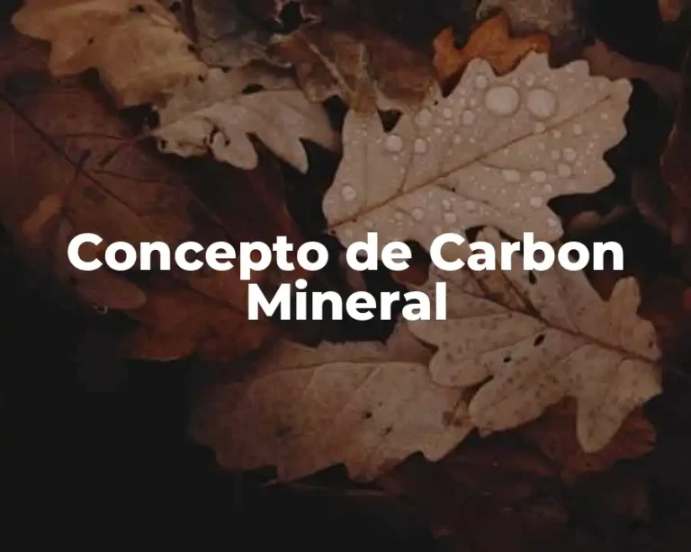 Concepto de Carbon Mineral