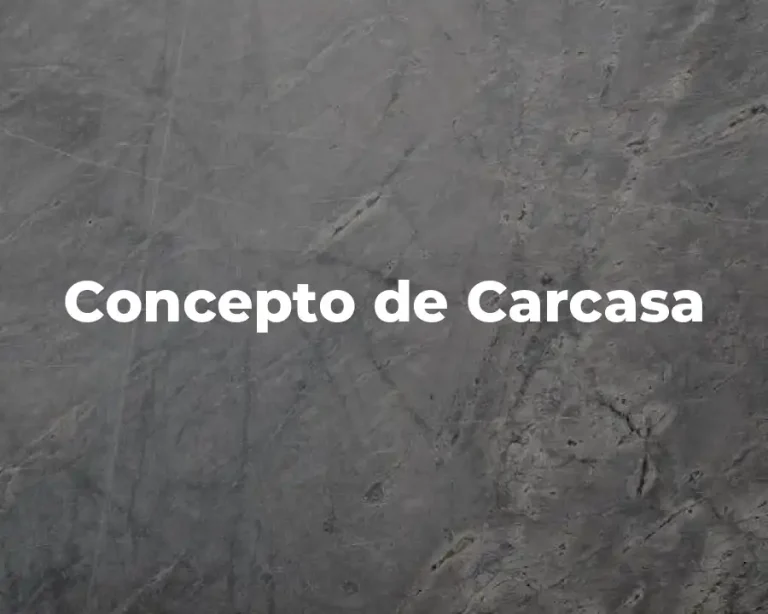 Concepto de Carcasa