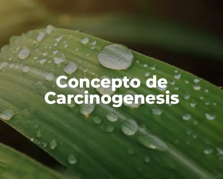 Concepto de Carcinogenesis