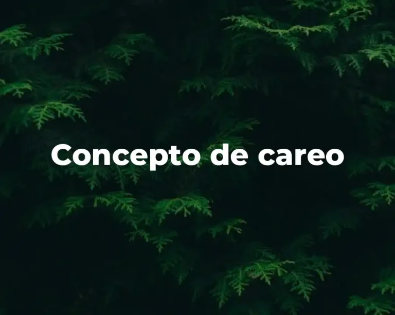 Concepto de careo