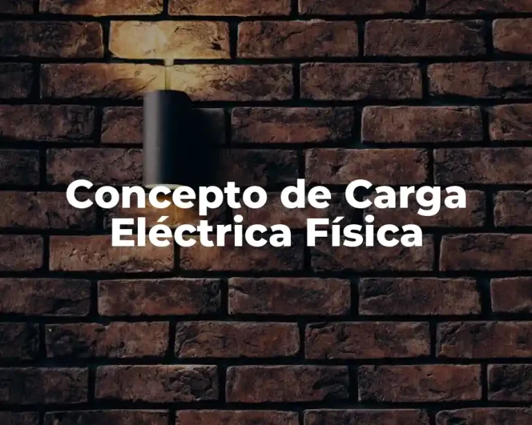 Concepto de Carga Eléctrica Física