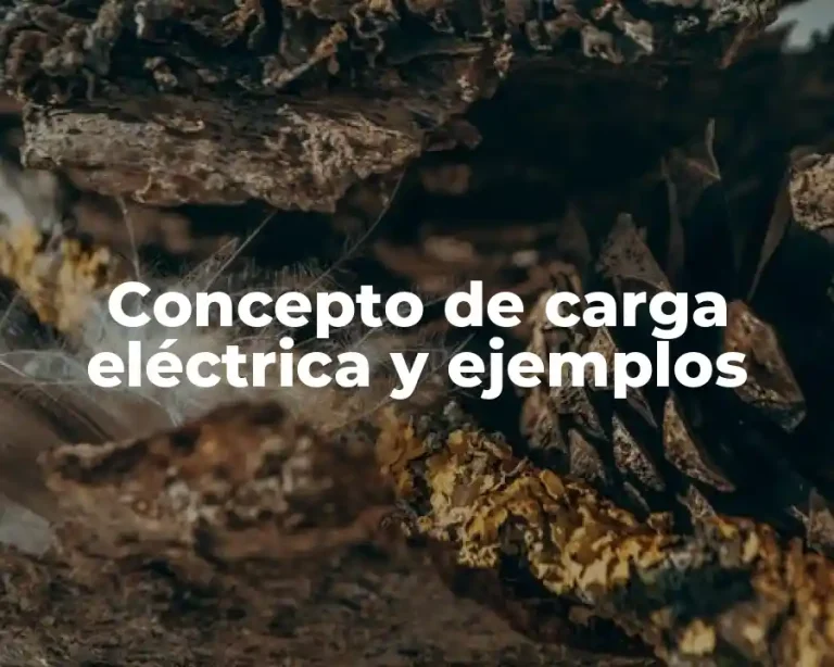 Concepto de carga eléctrica y ejemplos