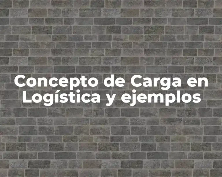 Concepto de Carga en Logística y ejemplos