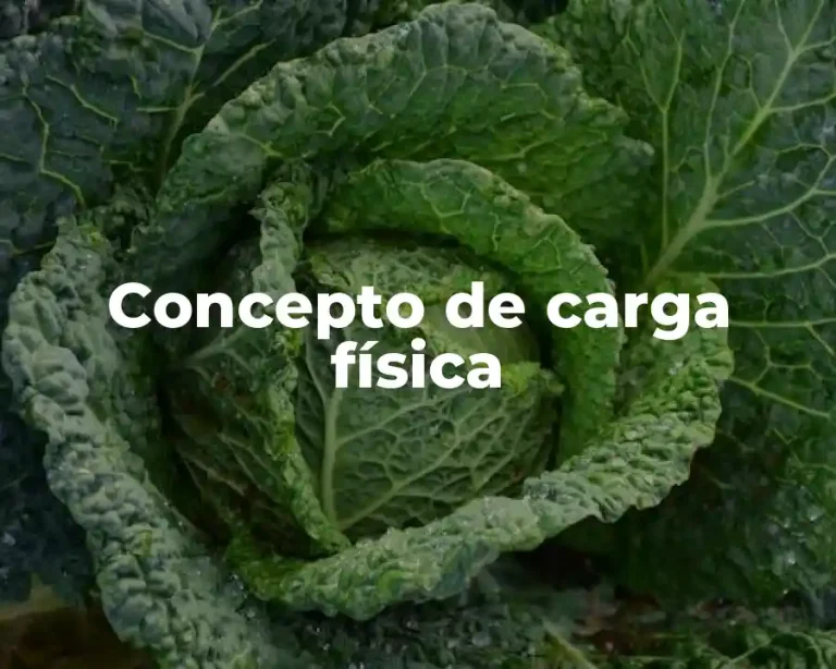 Concepto de carga física