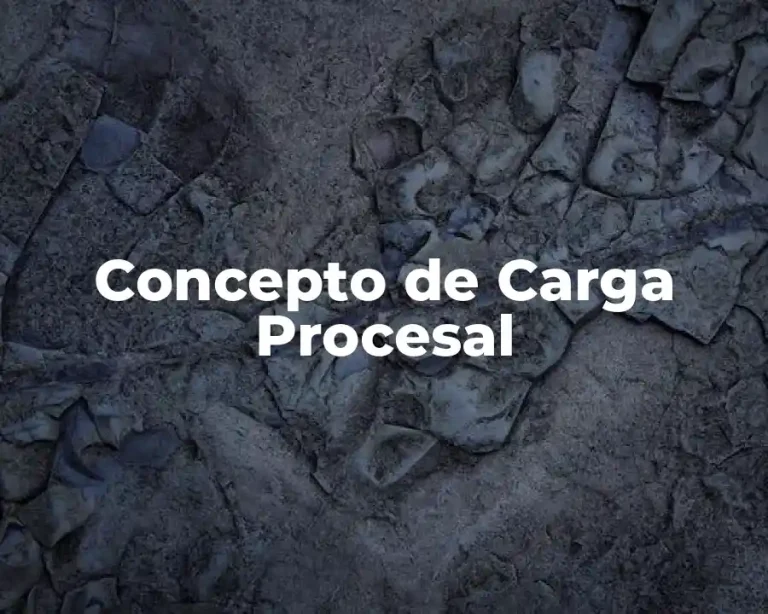 Concepto de Carga Procesal