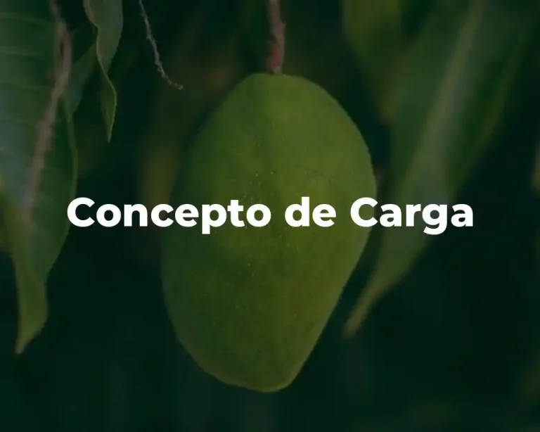 Concepto de Carga