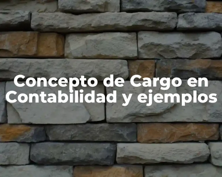 Concepto de Cargo en Contabilidad y ejemplos