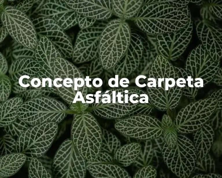 Concepto de Carpeta Asfáltica