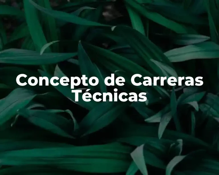 Concepto de Carreras Técnicas