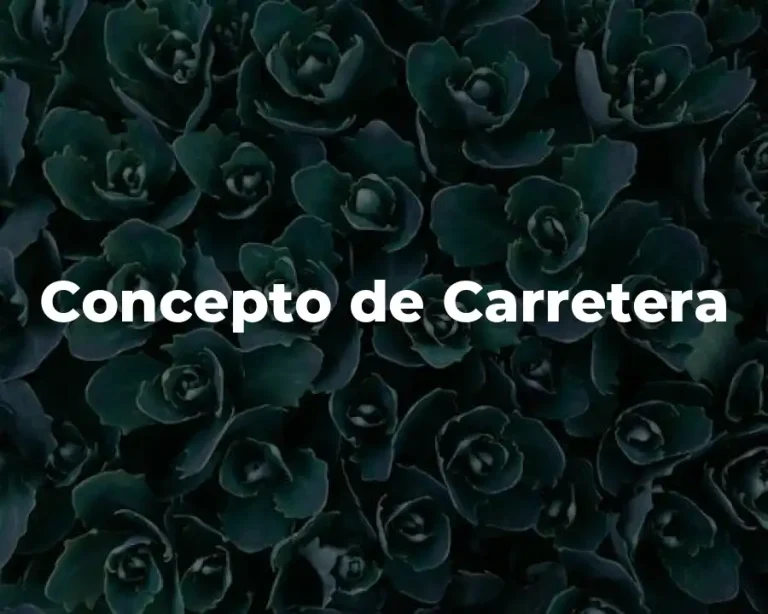Concepto de Carretera