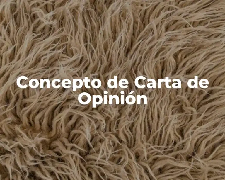 Concepto de Carta de Opinión