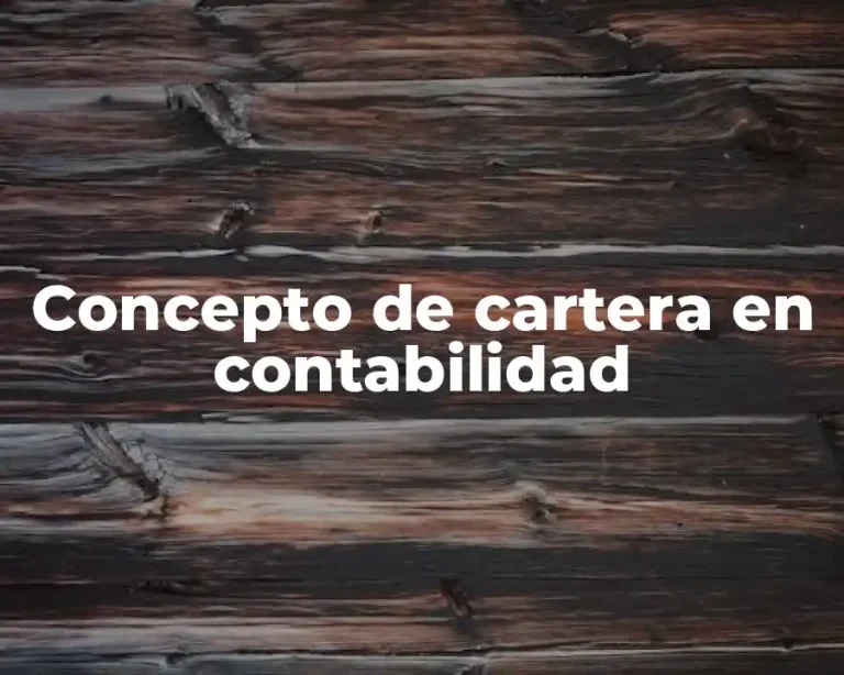 Concepto de cartera en contabilidad