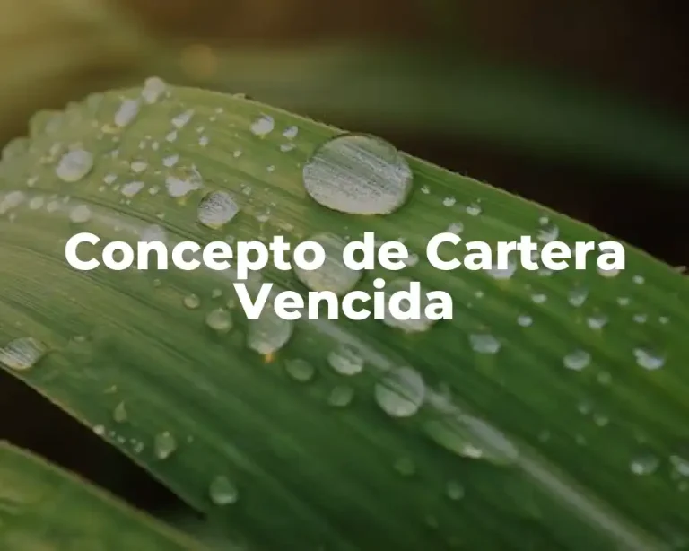 Concepto de Cartera Vencida