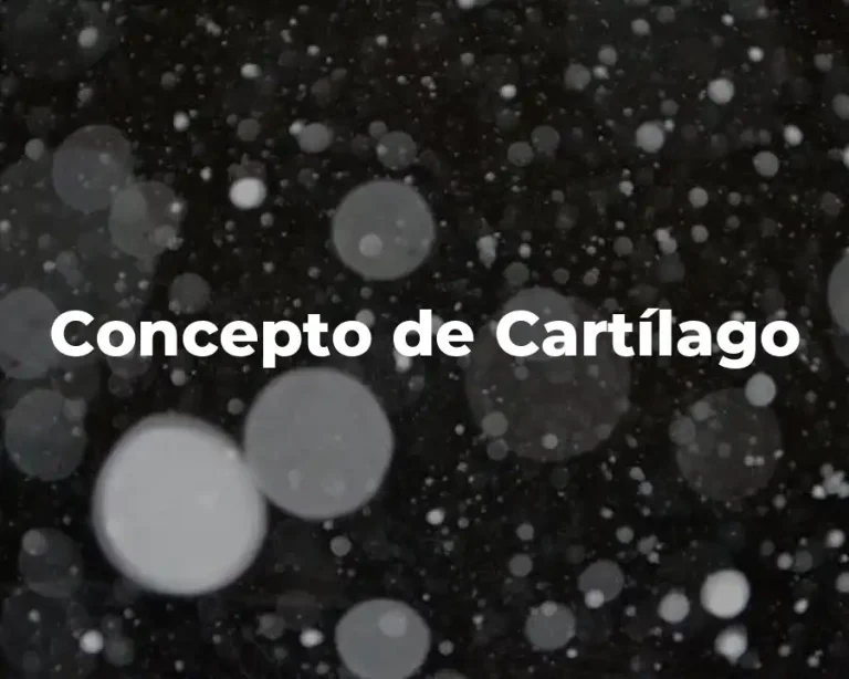 Concepto de Cartílago