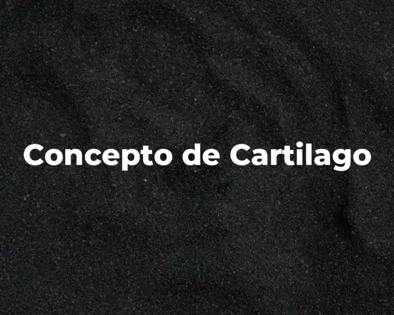 Concepto de Cartilago