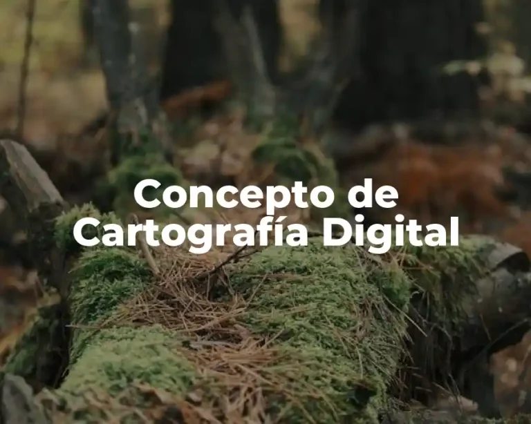 Concepto de Cartografía Digital